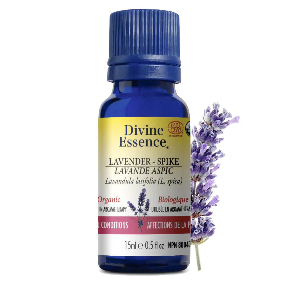 Huile Essentielle - Lavande Aspic - Divine Essence - 15ml